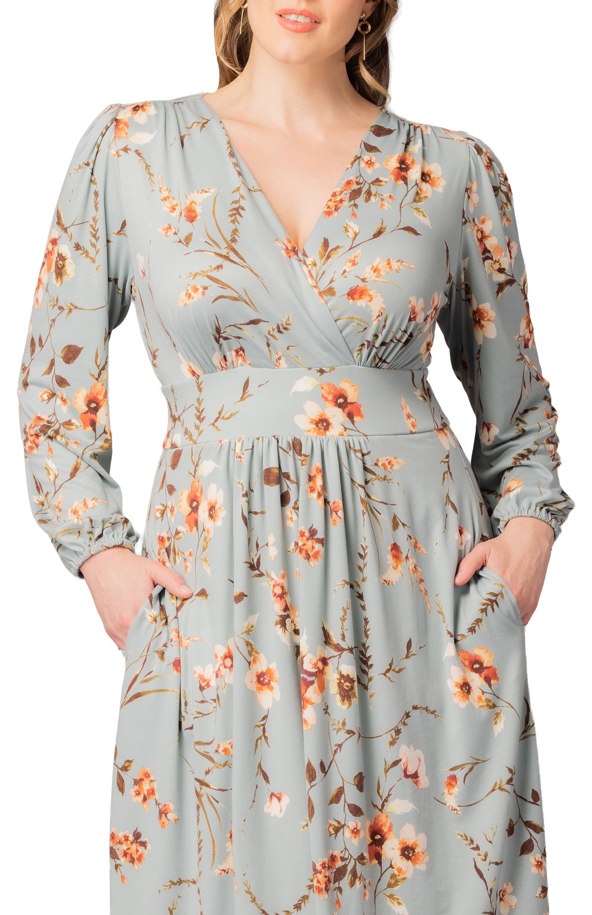 Dressbarn Trending | Diana Long Sleeve Dress - Spring Meadow - Plus