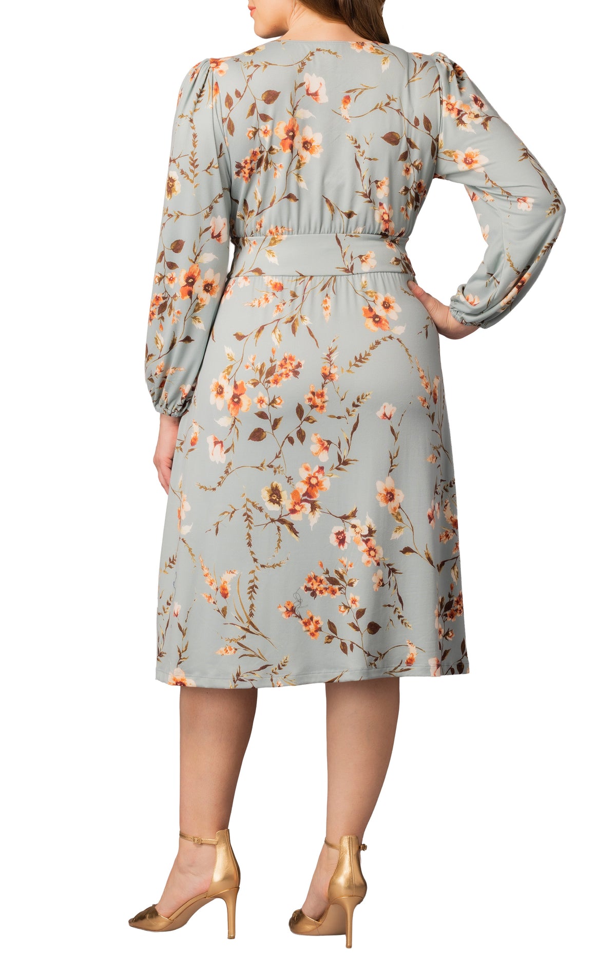 Dressbarn Trending | Diana Long Sleeve Dress  - Spring Meadow -  Plus