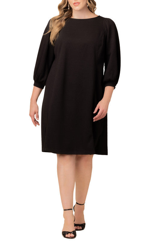 Dressbarn Premium | Madison Sweater Knit Shift Dress - Plus