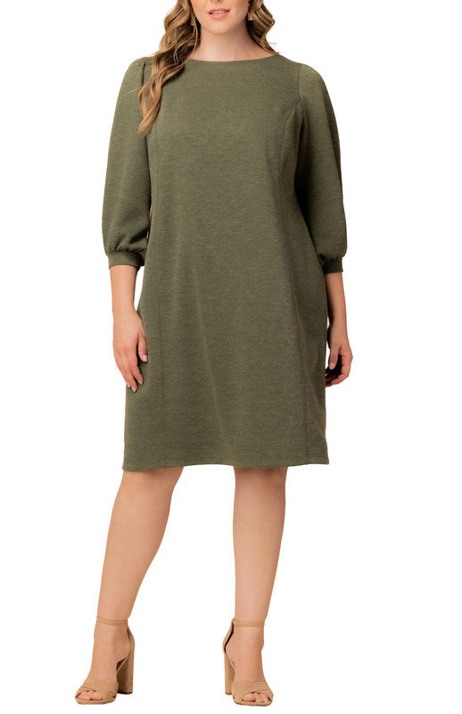 Dressbarn Premium | Madison Sweater Knit Shift Dress - Plus